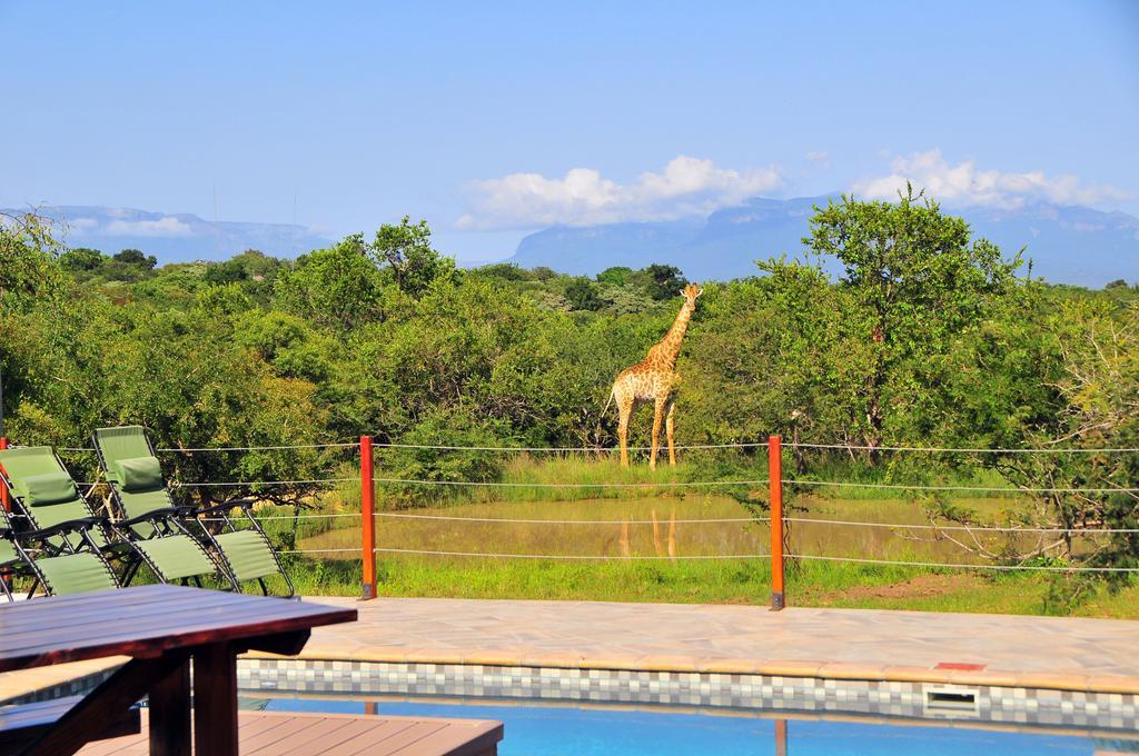Cheetah Paw Eco Lodge Guernsey Nature Reserve Esterno foto